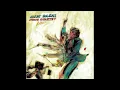 Kishi Bashi - I Am The Antichrist To You (Album Audio)