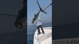 صيد اسماك الكنعد عيدكم مبارك قبل الزحمه Explore Fishing بحر صيد  صيد اسماك الكنعد عيدكم مبارك قبل الزحمه Explore Fishing بحر صيد