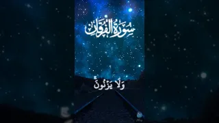 اجمل الايات عن رحمة الله Quran Surah Short Shorts Allah قرآن القرآن الكريم قرآن 