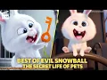 Best of Evil Snowball The Secret Life of Pets Cartoon For Kids