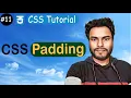 Padding in CSS Mastering Shorthand Padding Property CSS Tutorial