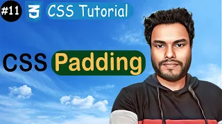 Padding in CSS Mastering Shorthand Padding Property CSS Tutorial
