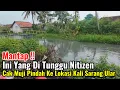 Download Lagu Mantap‼️Yang Di Tunggu Nitizen Akhirnya Cak Muji Pindah Lokasi Kali Sarang Ular Sukatani
