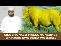 Download Lagu KISA CHA NABII MUSSA NA NGOMBE WA NJANO KWA WANA WA ISRAEL //SHEIKH OTHMAN MAALIM