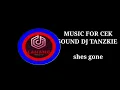 Download Lagu MUSIC FOR CEK SOUND SYSTEM = DJ TANZKIE(SHES GONE)