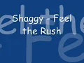 Shaggy - Feel the Rush