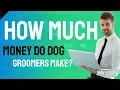 How Much Money Do Dog Groomers Make - How Much Money Do Pet Groomers Make