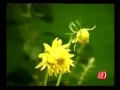 Download Lagu Lesana kaariyam _ tamil christian song