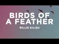 Download Lagu Billie Eilish - BIRDS OF A FEATHER (Lyrics)