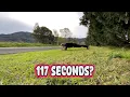 117-Second Plank at Boxsells Ln Grahams Rd Meroo Meadow MG Has Her Own Place