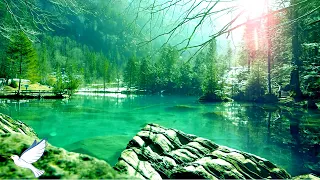 24 Hours Relaxing Music Relaxing Music Piano Meditation Music Sleep Music Study 