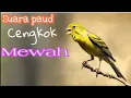 Download Lagu Masteran Kenari Paud Cengkok Mewah suara ambulan