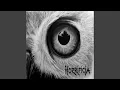 Download Lagu Bava