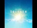 Solsken - Owen Meyers