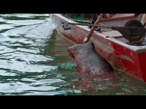 Growing Native Alaska: People of the North Trailer