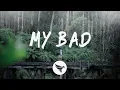 Download Lagu SHAUN - My Bad (Lyrics) KSHMR Edit, feat. Julie Bergan, With Advanced