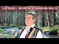 Download Lagu ILIE ROȘU - De necaz și gânduri multe