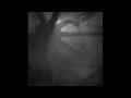 Blut Aus Nord - Weird Harmonies From Celephaïs