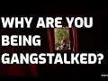 7 Signs of GangStalking