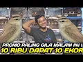 Lagu GAWAT ! PRAMUKA MEMANAS !!! 50 EKOR KERAK BASI SINCAN TURUN HARGA DIKIOS NASIKIN PASAR PRAMUKA