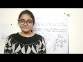 Binomial Heaps Algorithms