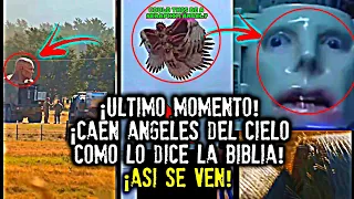 ¡Último momento! ¡Caen ángeles del cielo como lo dice la biblia! ¡Así se ven!