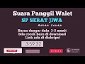 Download Lagu Suara Walet SP Serat Jiwa mp3