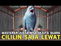 Download Lagu TAU GINI BELI DARI DULU !!! HARGA MURAH GACORNYA MEWAH CILILIN AJA LEWAT !!!