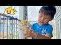 Arlo playing with his new Pinkfong s Baby Shark Bubble Blaster