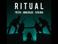 Download Lagu Tiësto X Jonas Blue ft. Rita Ora - Ritual (Extended Version)