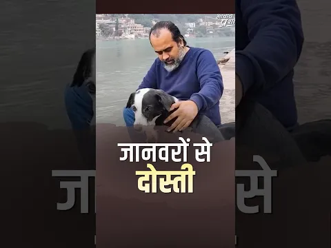 जानवरों से दोस्ती तो करो || आचार्य प्रशांत #AcharyaPrashant #shorts #friends #animals #animallovers