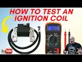 How to Test A Lawn Mower - Ignition Coil Magneto With A Multimeter
