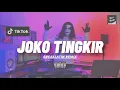 Download Lagu DISCO HUNTER - Joko Tingkir X sugarDaddy