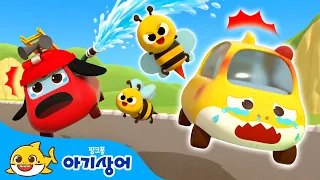 붕붕 벌 한 마리🐝 + 오싹오싹 상어가족 토이카🚗 | 아기상어 토이카 타운 | 자동차 동요 | 어린이 인기 동요 | 삐뽀삐뽀 | 뚜루루뚜루 | 핑크퐁! 아기상어 올리