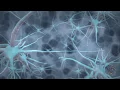 QEEG Brain Scans - The Brain s Electrical Activity