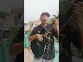 Download Lagu Umpomo #intanmandasari #sindung  #cover #shorts #lagi viral