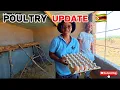 Download Lagu Poultry Challenges | African Village Life 🇿🇼