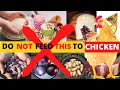 10 Things to NOT FEED YOUR CHICKENS CHICKENS MAY DIE AFTER FEEDING THIS SUBSTANCES
