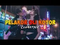Download Lagu Clumztyle - Pelakor Oli Kotor Mix || Lagu Pesta Rakat Terbaru