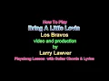 Bring A Little Lovin, Los Bravos