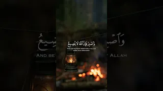قران كريم بصوت هادئ وجميل للقارئ إسلام صبحي 