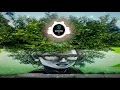 8D DIGITAL FM BH - Sevana - If You Only Knew