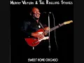 Muddy Waters & The Rolling Stones -I`m A King Bee.flv