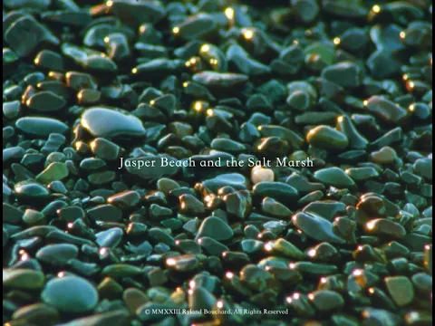 Jasper Beach and the Salt Marsh (16mm, trailer)