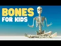 Download Lagu Bones for Kids | Learn about the Skeletal System for Kids