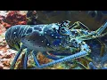 Lo-fi locations (Part 7): chill beats & visuals to relax/study/workout to