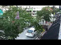 1WebsiteNow LIVE Downtown DeLand South Woodland Blvd 2026-08-15 7 PM ET