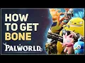 How to get Bone Palworld