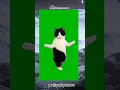 Download Lagu #cat #kucingjoget sound kehancuran 🗿