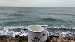 قهوة الصباح على شط الإسكندرية دندنها